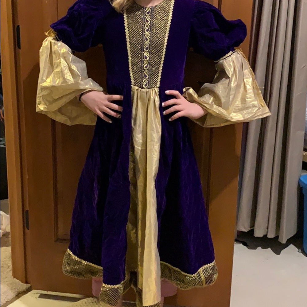 Victorian velvet dress 8/10